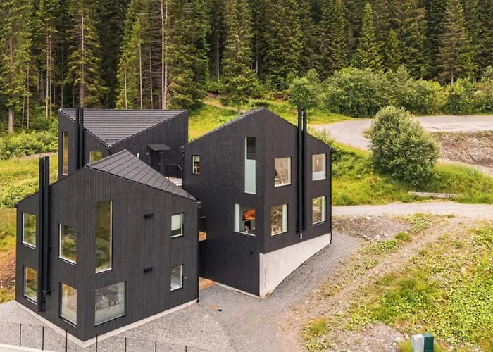 Elegant Ski-in Ski-out * Voss